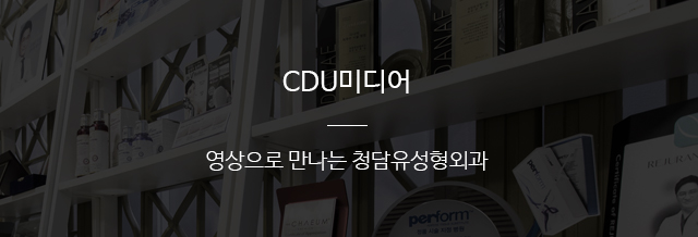  CDU미디어