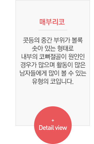 낮은코수술